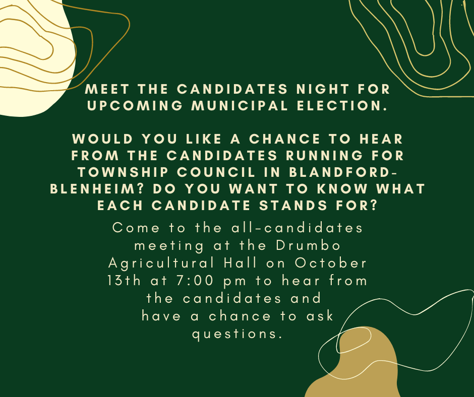 meet the candidate poster