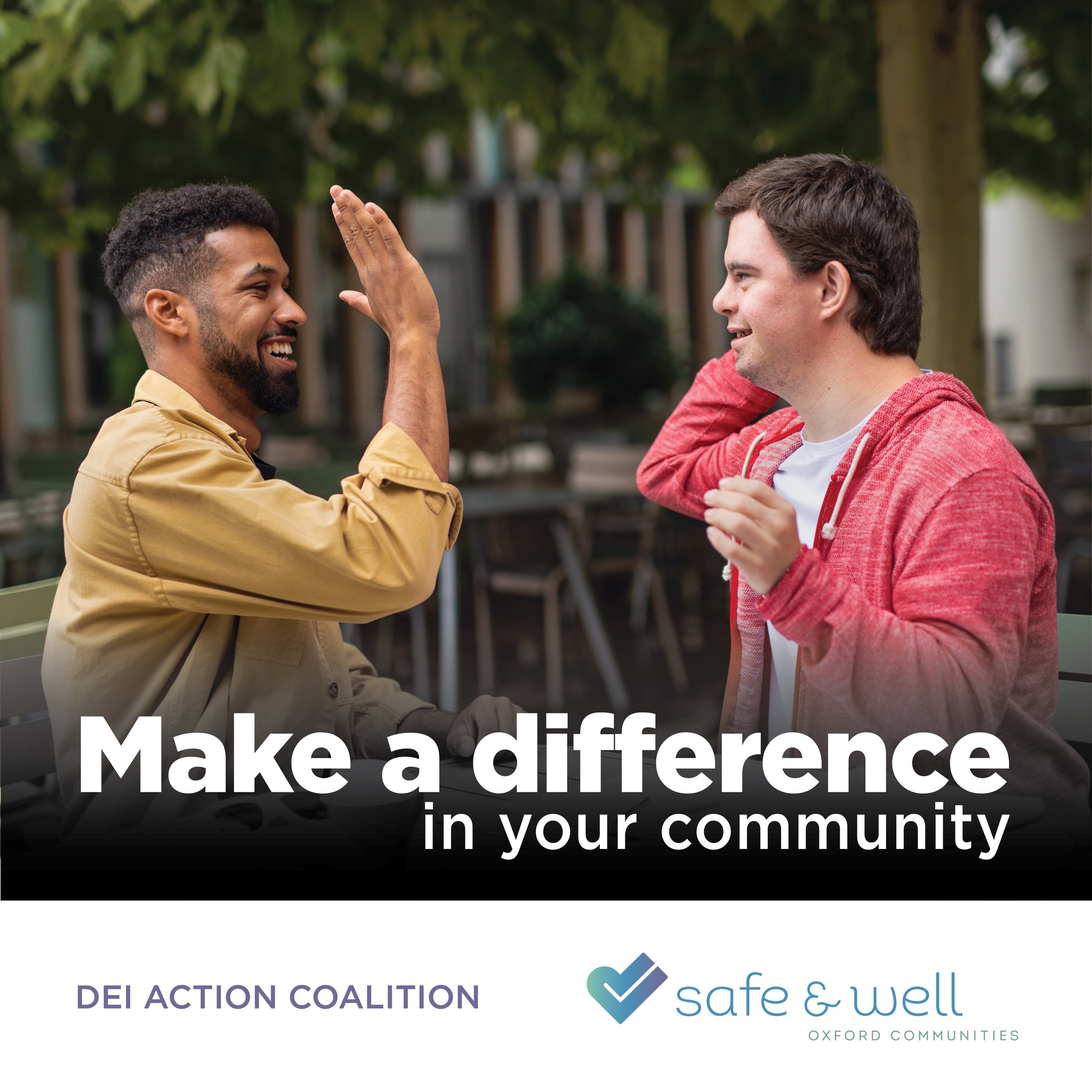 Safe and Well DEI Call for Members