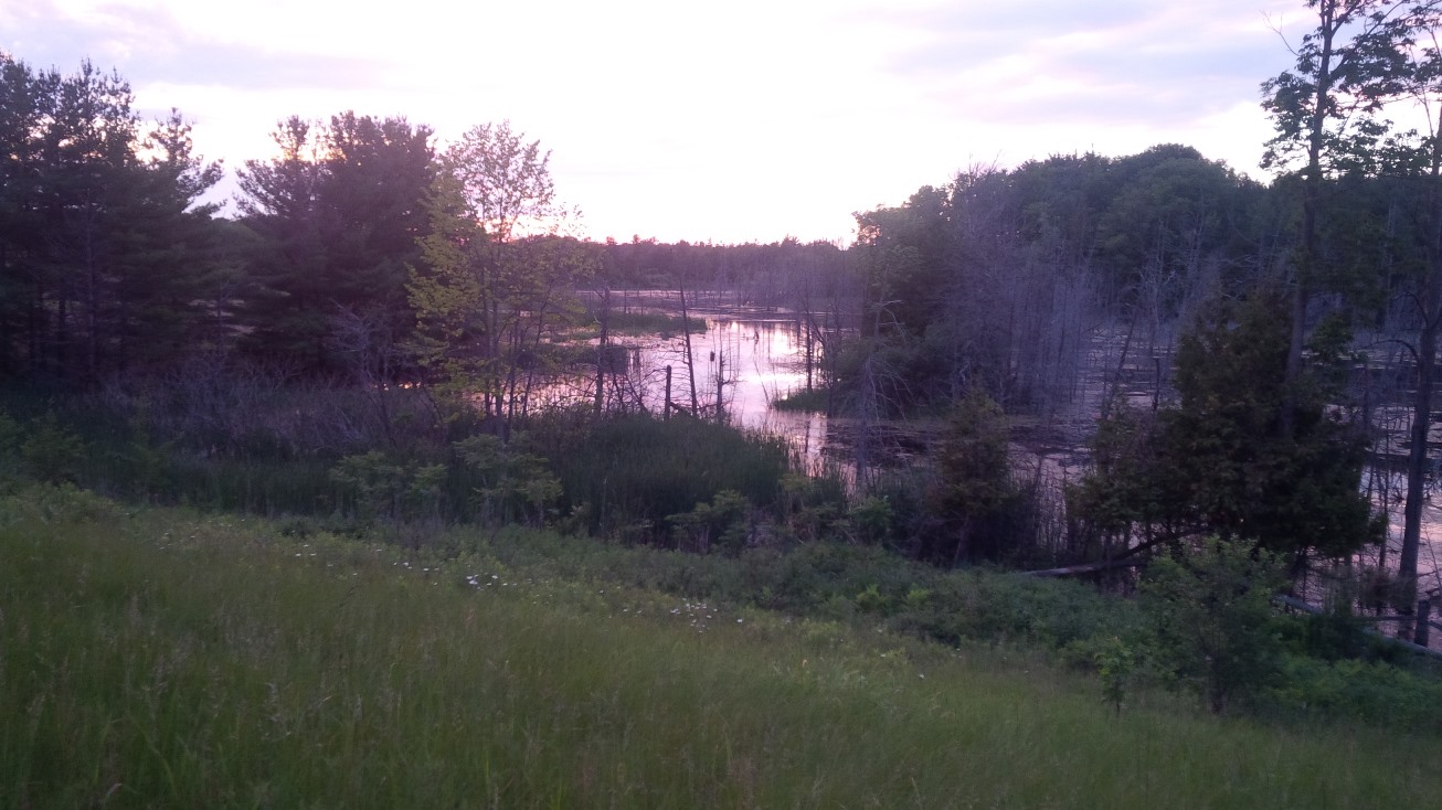 chesney trail